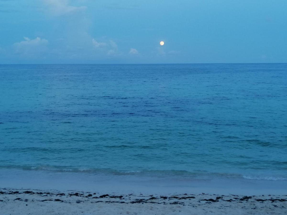 מלון San Andrés Miss Bassy'S Lodging מראה חיצוני תמונה